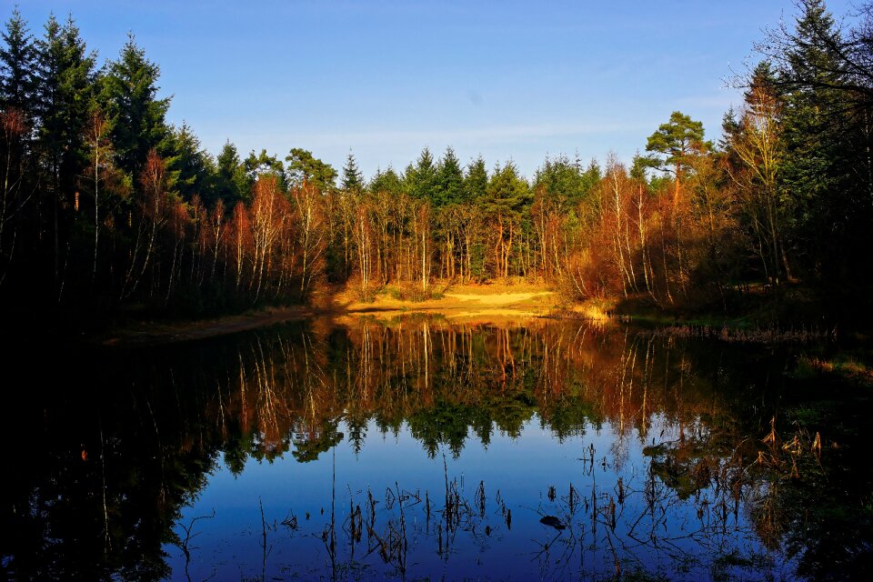 Lake water mirroring