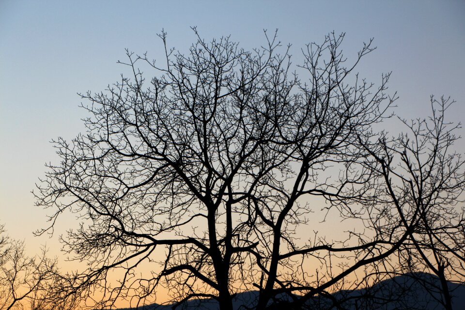 Nature loneliness desolation