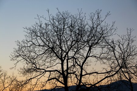 Nature loneliness desolation