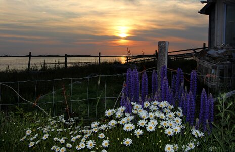 Ocean sunset beach nature