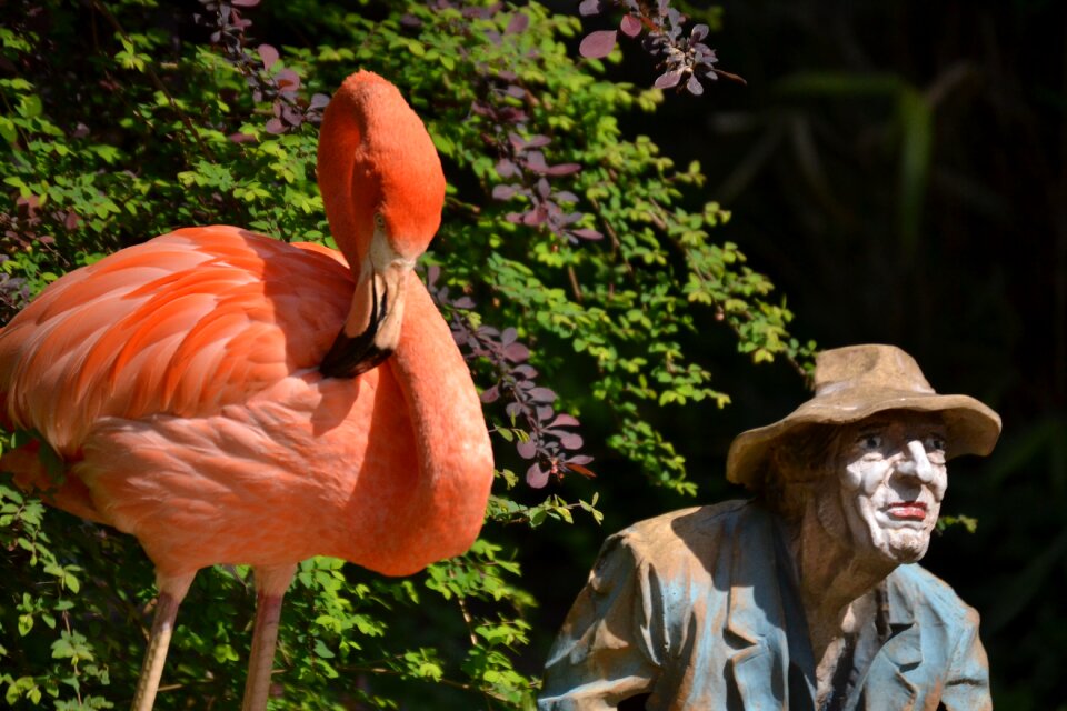 Decorative summer bird