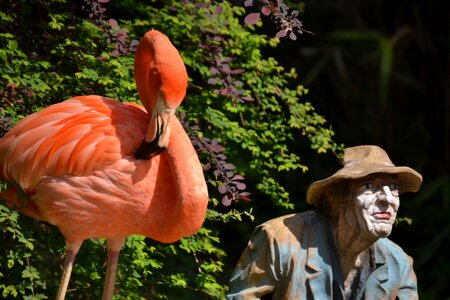 Decorative summer bird