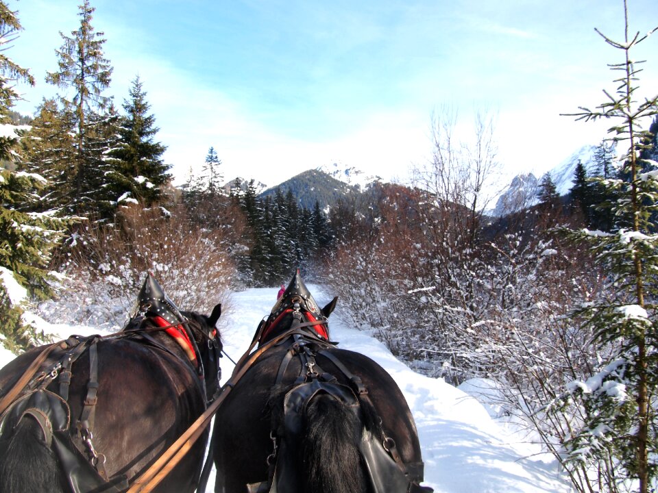 Trentino walk on sled