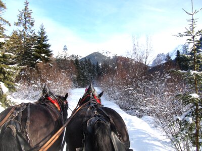Trentino walk on sled