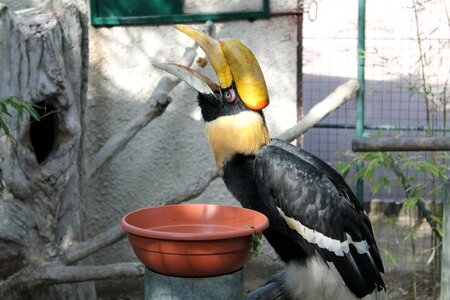 Food zoo the palmyra photo