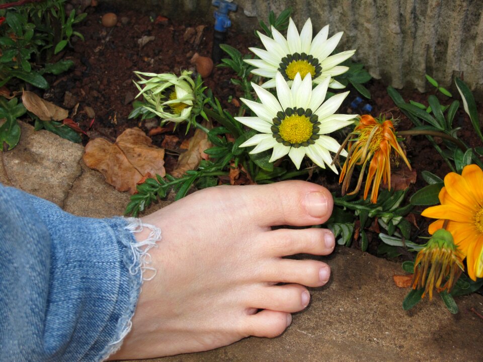 Flowers spring boost