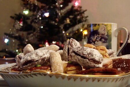 Christmas cookies christmas time garnished with