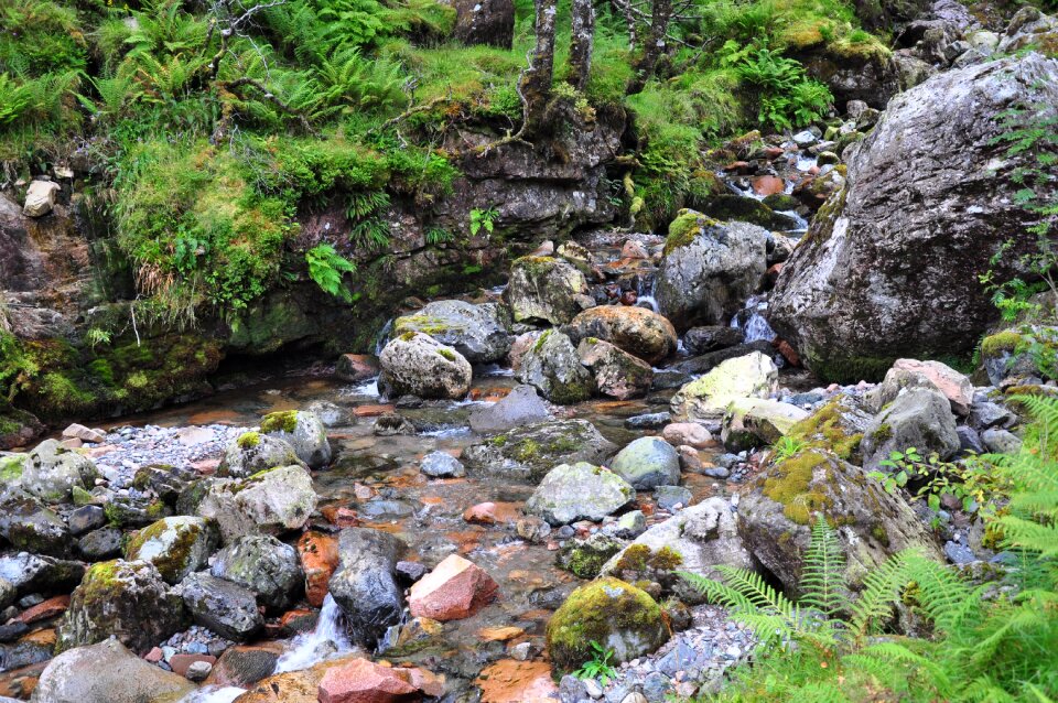 Green nature the stones