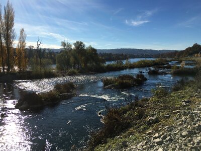 Fluent rhine rheinfelden