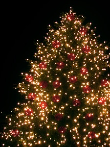 Lighting weihnachtsbaumschmuck christmas time photo