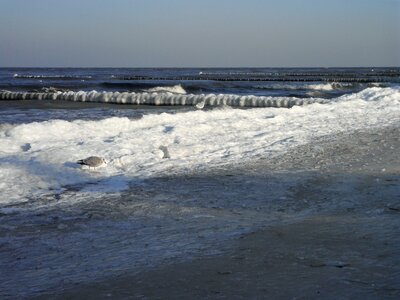 Groynes with ice ice edge beach