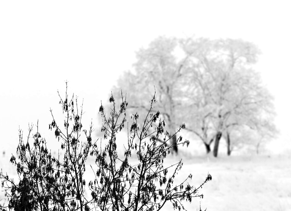 Winter landscape cold