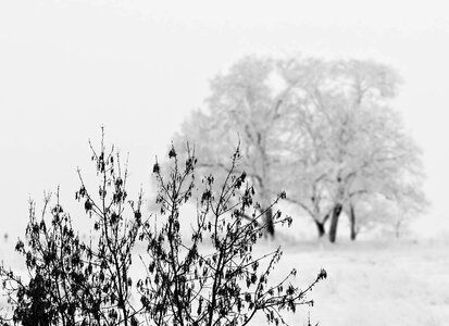 Winter landscape cold