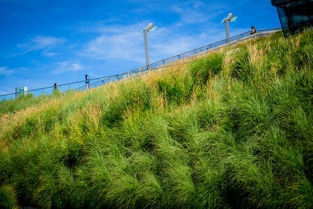 City park vibrant photo