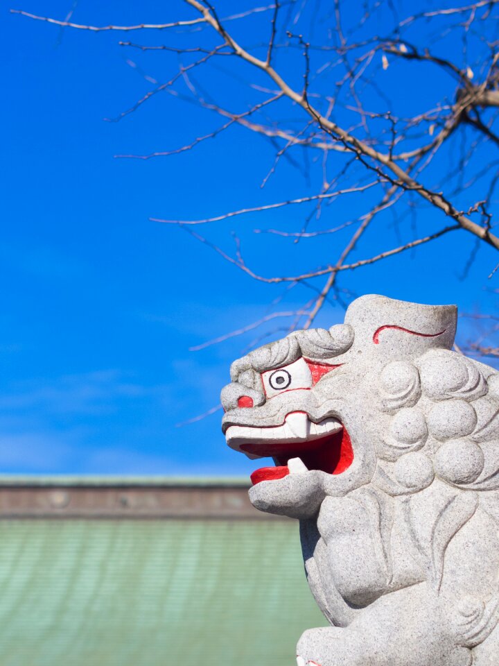 Japan guardian dogs sky