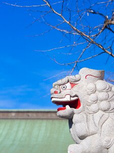 Japan guardian dogs sky
