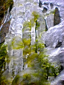 Natural art ice fantasy