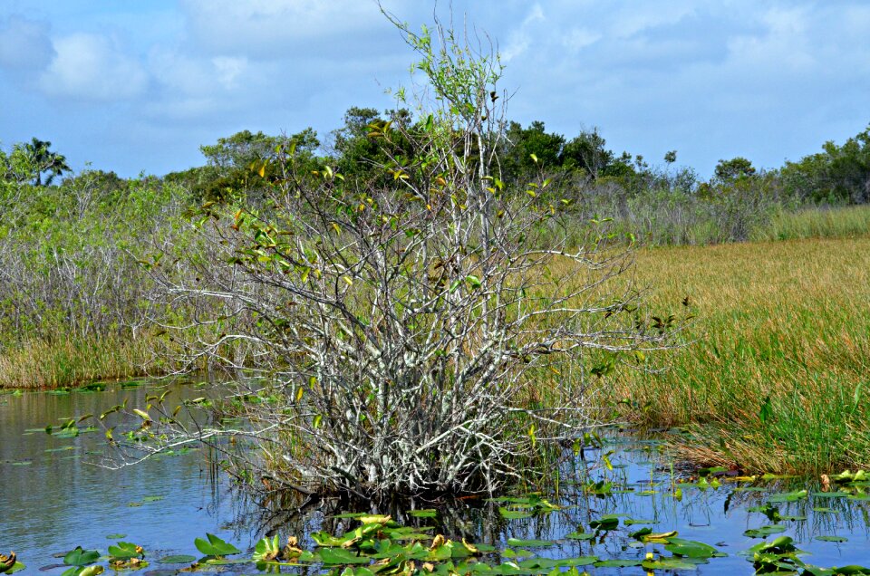Key west park nature