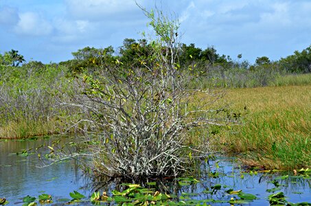 Key west park nature