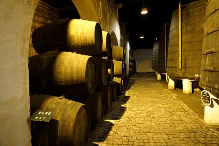 Aging cellar age