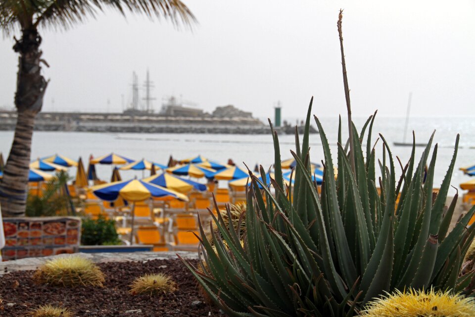 Canaria spain beach