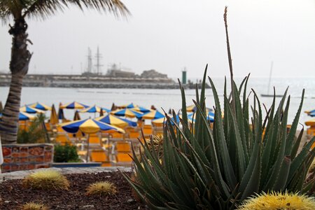 Canaria spain beach photo