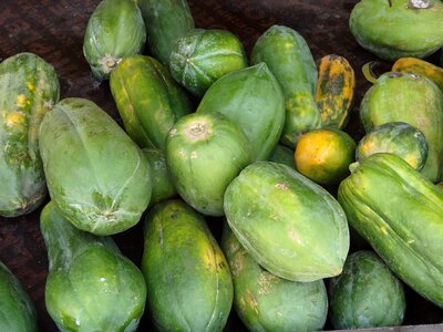 Papayas fresh oman