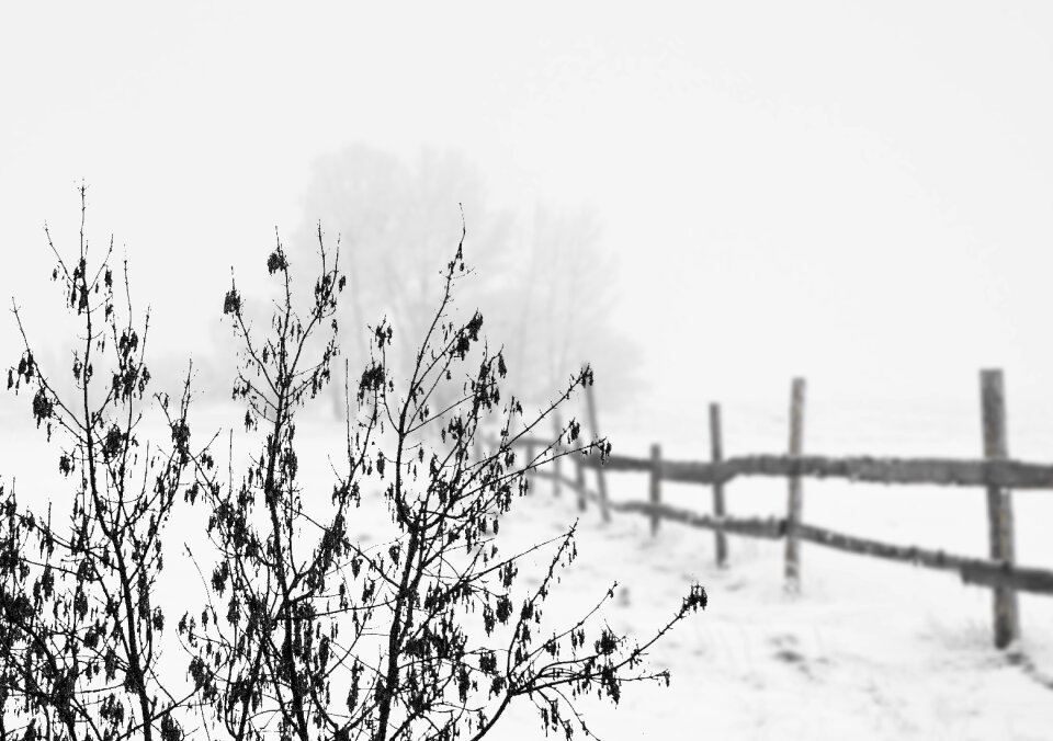 Landscape fence wintry photo