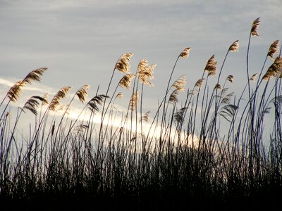 Landscape beautiful beauty