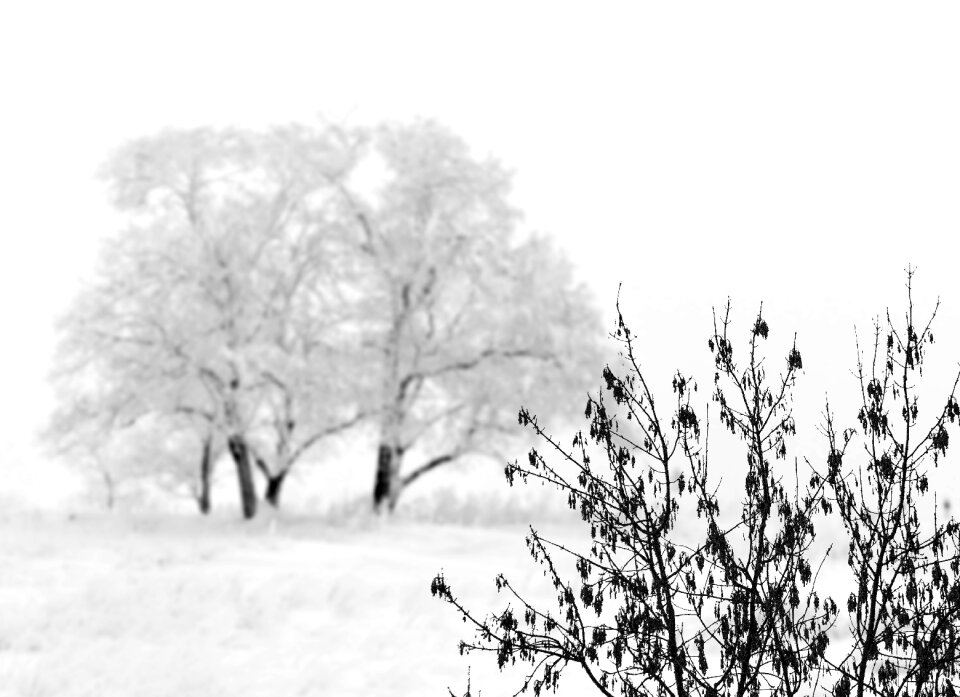 Winter landscape cold