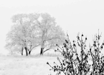 Winter landscape cold