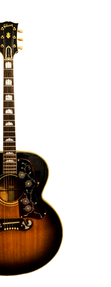 Instrument musician musical instrument