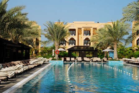 Hotel palm trees pool photo