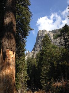 Wild mountain landscape