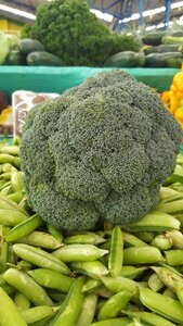 Food healthy power