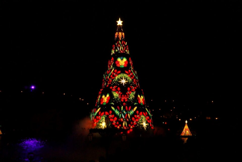Tree light up night
