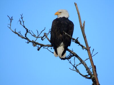 Nature majestic