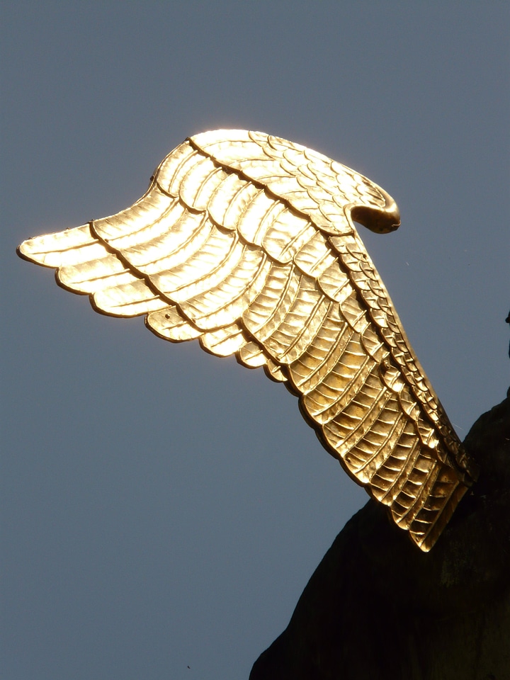 Angel gold metal