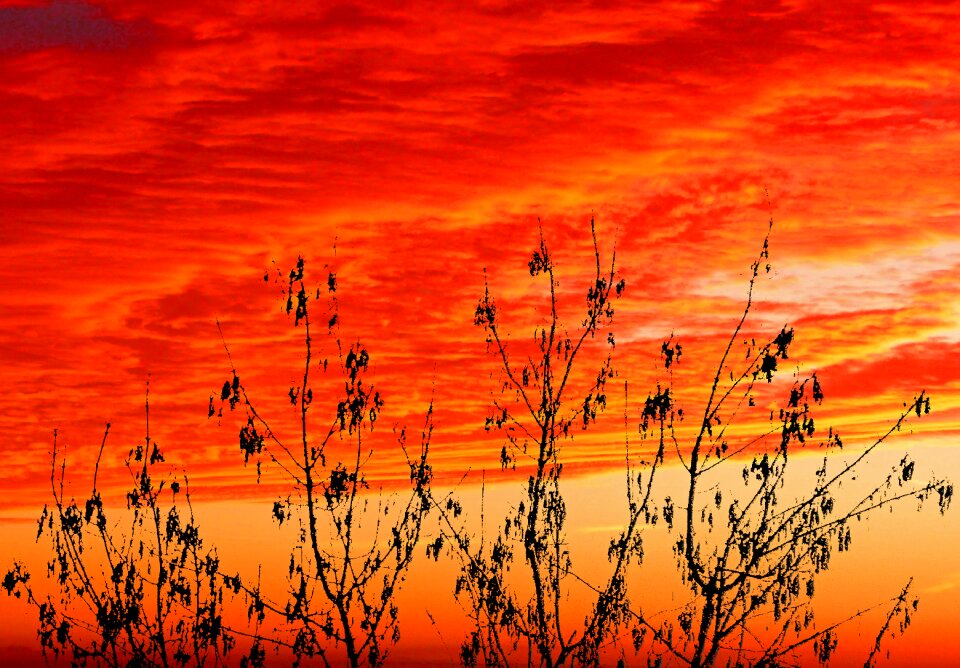 Sun sunset sunrise
