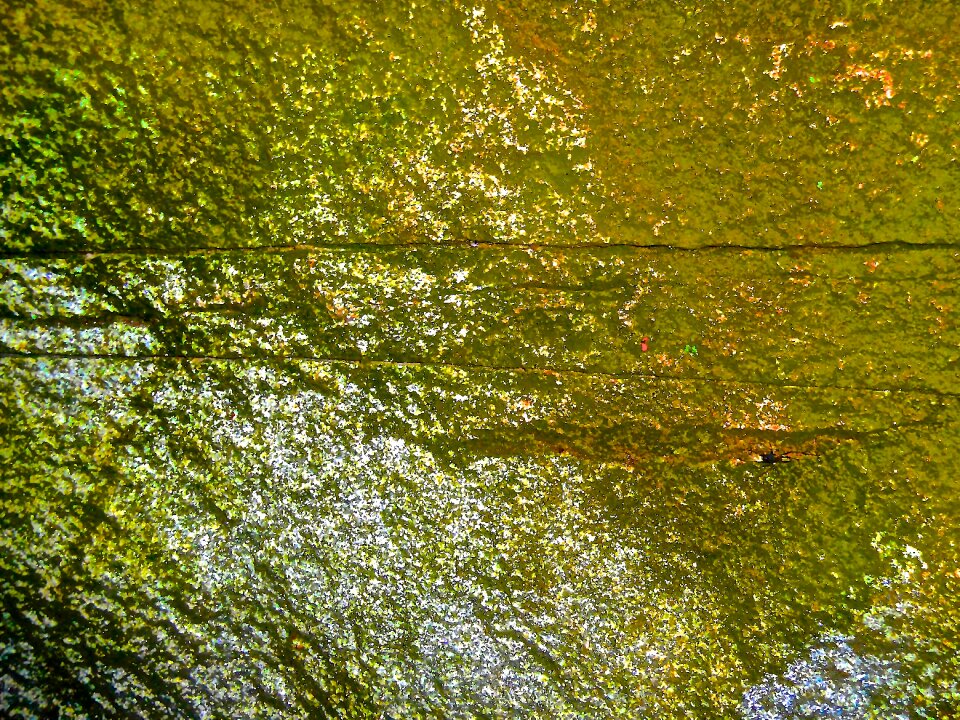 Natural art stockholm green