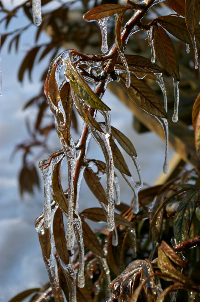 Snow cold frozen