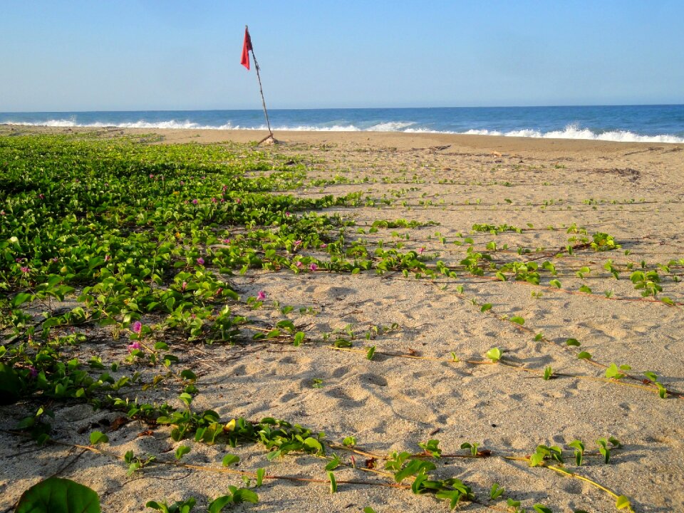 Unaffected nature wave