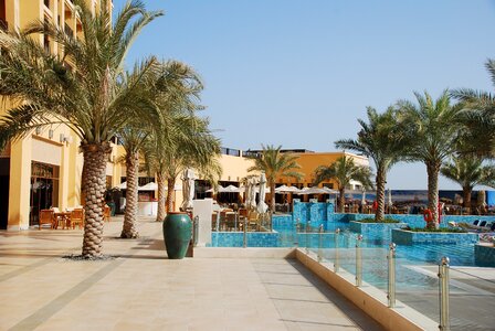 Hotel palm trees pool photo