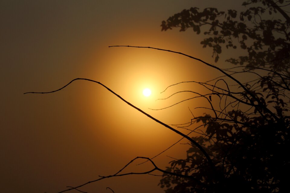 Nature sun sunlight