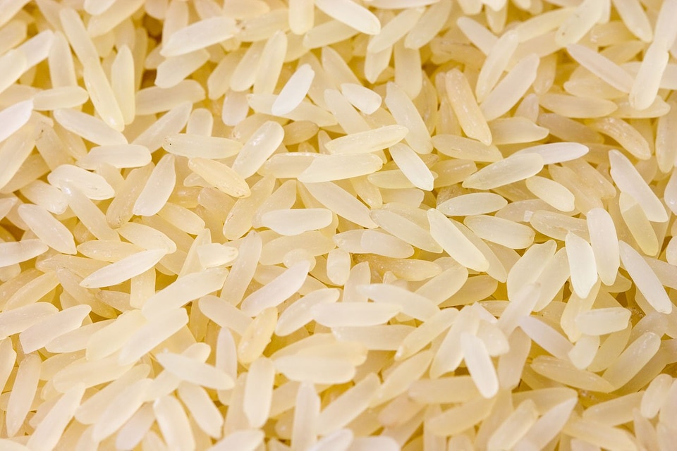 Meal food background
