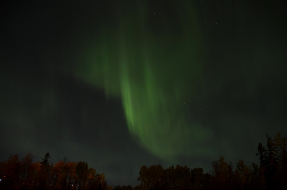 Northern borealis aurora