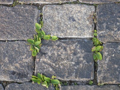 Fortress stone masonry medieval