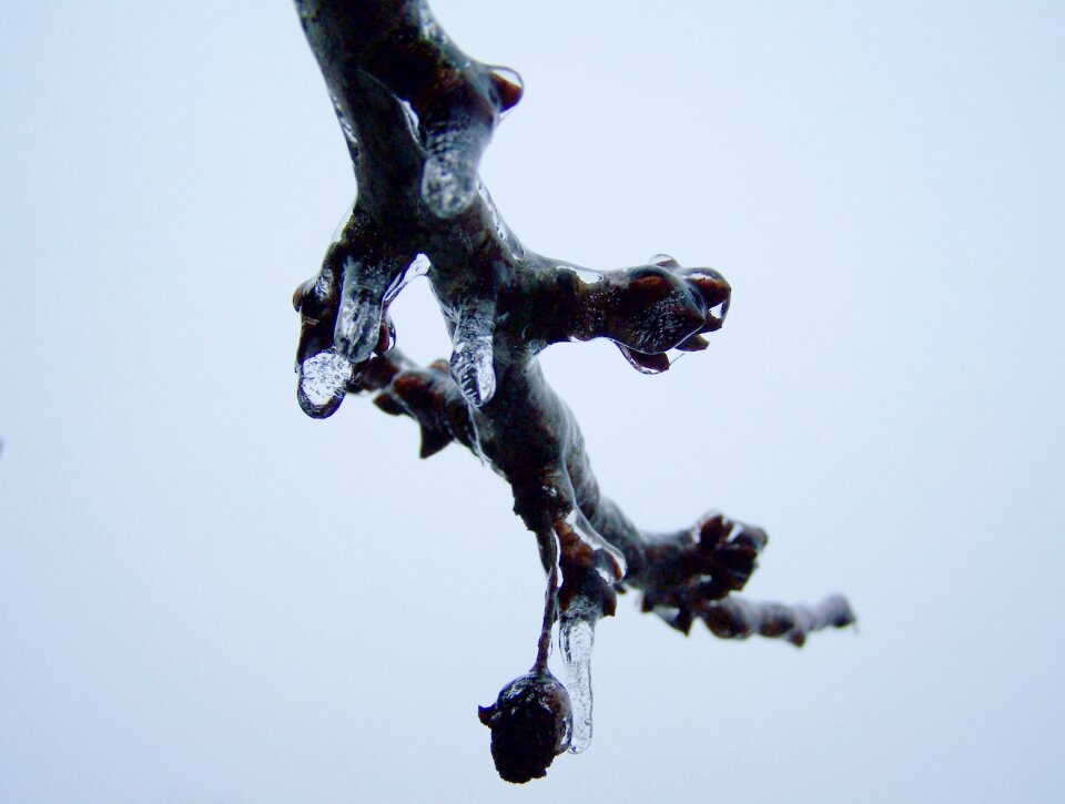 Sleet winter ice closed nature