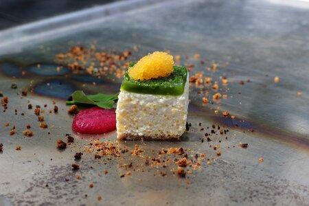Food appetizer finedining