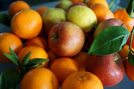 Eat leaf mandarin photo